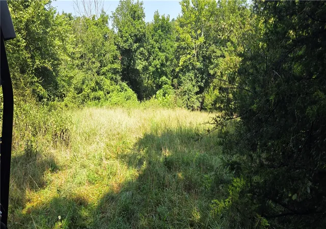 5th image of Hopewell, Harrison, AR 72601 | MLS# 1359982