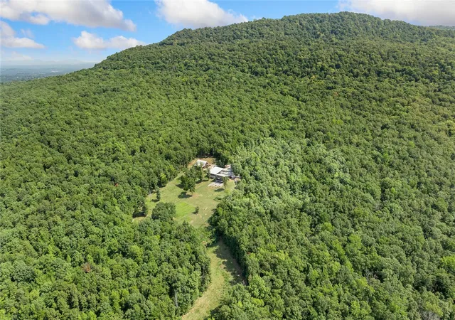 60th image of 1186 Nc 6320, Mount Judea, AR 72655 | MLS# 1360193