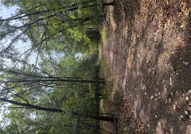 38th image of 1320 County Road 1631, Knoxville, AR 72845 | MLS# 1359854