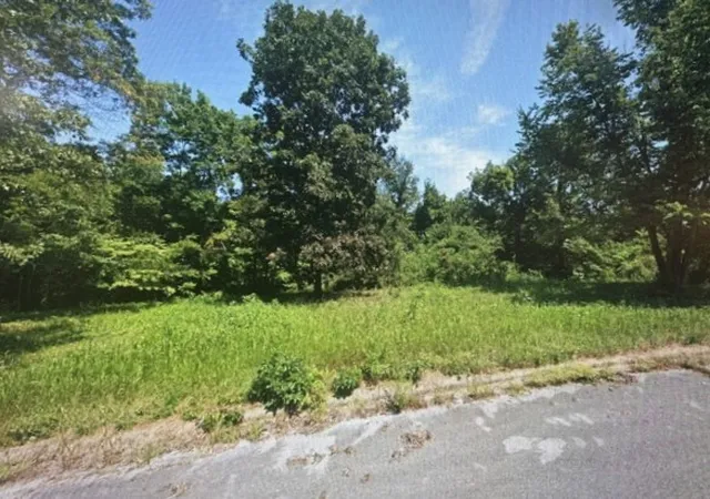 Photo 3 of Land for sale at 1668 Goff Rd, Harrison, AR 72601 | MLS# 1360424 | Listing updated on 2026-08-31