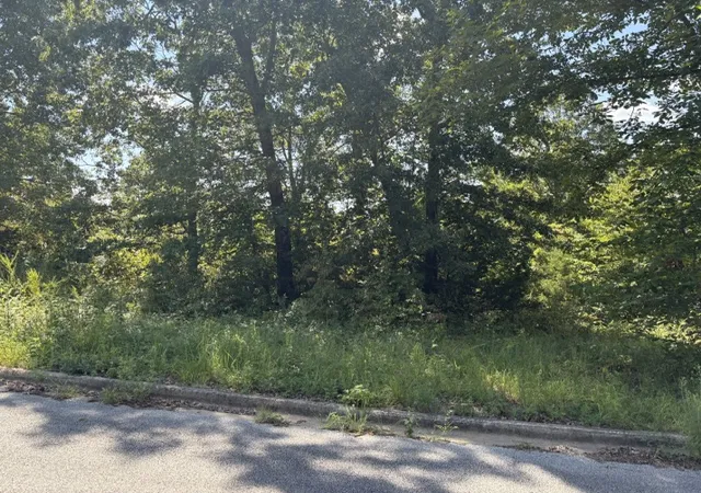 Photo 3 of Land for sale at 1668 Goff Rd, Harrison, AR 72601 | MLS# 1360424 | Listing updated on 2026-08-31