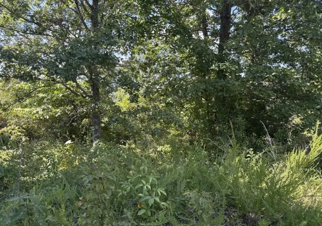 Photo 4 of Land for sale at 1668 Goff Rd, Harrison, AR 72601 | MLS# 1360424 | Listing updated on 2026-08-31