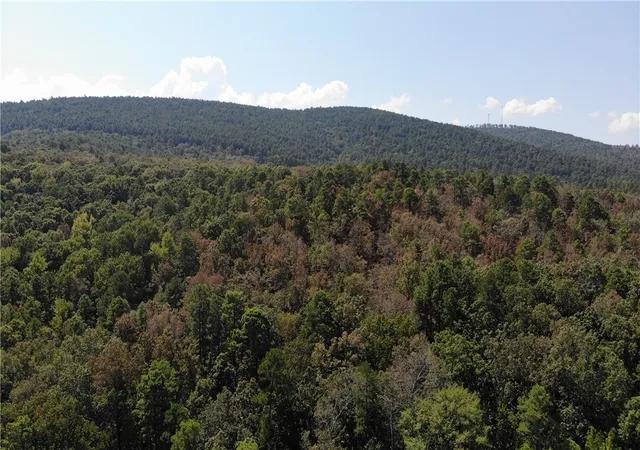Photo 1 of Land for sale at Tbd K St, Danville, AR 72833 | MLS# 1360651 | Listing updated on 2026-09-01
