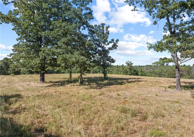 Photo 2 of Land for sale at 000 Ruby Ln, Yellville, AR 72687 | MLS# 1360665 | Listing updated on 2026-09-18