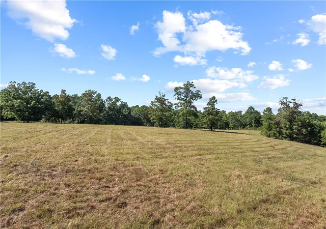 Photo 3 of Land for sale at 000 Ruby Ln, Yellville, AR 72687 | MLS# 1360665 | Listing updated on 2026-09-18