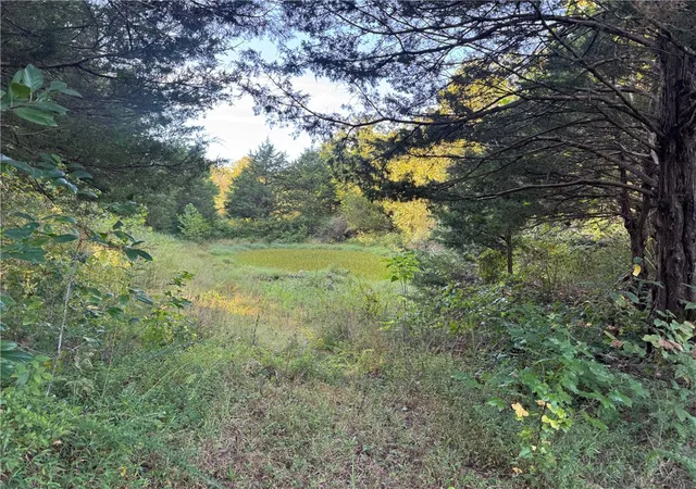 Photo 1 of Land for sale at 3478 Madison 5445, Huntsville, AR 72740 | MLS# 1362056 | Listing updated on 2026-09-15