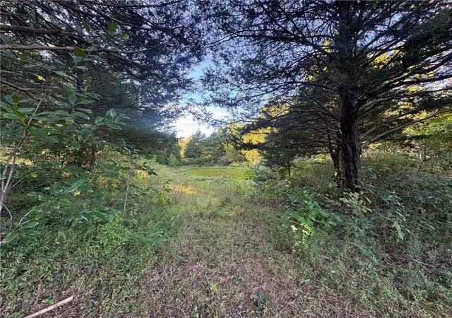 Photo 2 of Land for sale at 3478 Madison 5445, Huntsville, AR 72740 | MLS# 1362056 | Listing updated on 2026-09-15