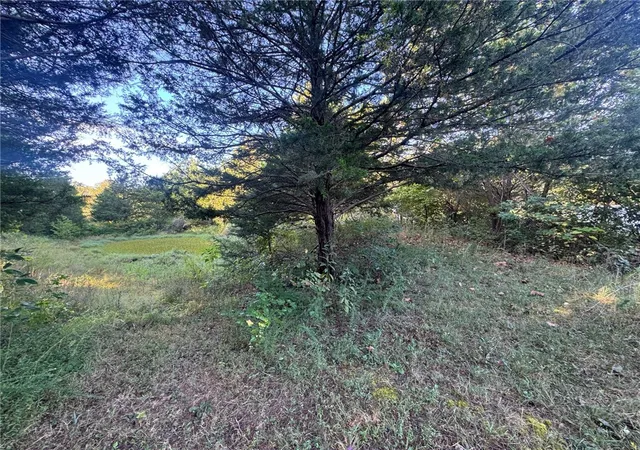 Photo 3 of Land for sale at 3478 Madison 5445, Huntsville, AR 72740 | MLS# 1362056 | Listing updated on 2026-09-15