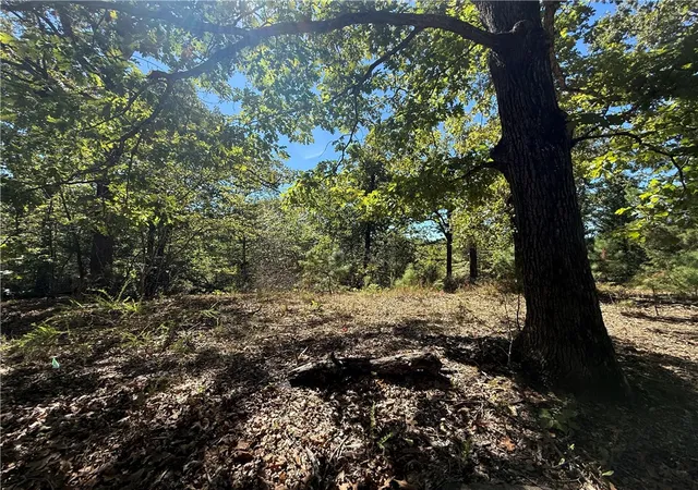 Land for sale at Tbd N Lakewood Dr, Lowell, AR 72745 | MLS# 1362100