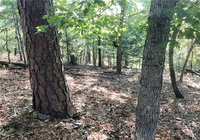 Photo 3 of Land for sale at Lakeside Dr, Rogers, AR 72756 | MLS# 1362428 | Listing updated on 2026-09-18