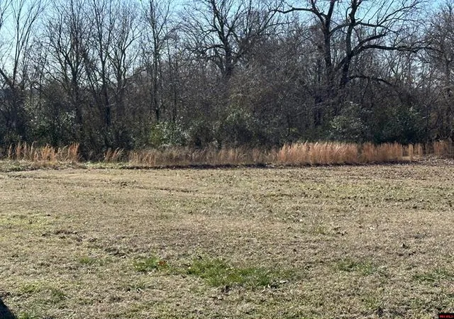 Photo 1 of Land for sale at Lots 1657 1660 9th St, Cotter, AR 72626 | MLS# 1362999 | Listing updated on 2026-09-23