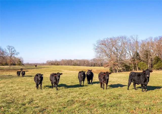 Photo 3 of Land for sale at Tbd Houneysuckle & County Rd 433, Oak Grove, AR 72660 | MLS# 1363068 | Listing updated on 2026-09-24