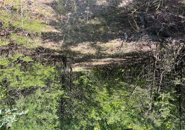 Land for sale at 345 Mc 8112, Yellville, AR 72687 | MLS# 1363900