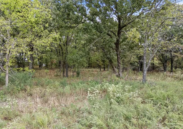 Photo 2 of Land for sale at Tbd S Elm St, Siloam Springs, AR 72761 | MLS# 1363816 | Listing updated on 2026-10-09