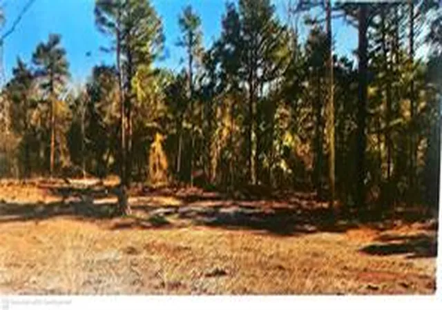 Photo 1 of Land for sale at 120 County Rd 1784, London, AR 72847 | MLS# 1364010 | Listing updated on 2026-10-05