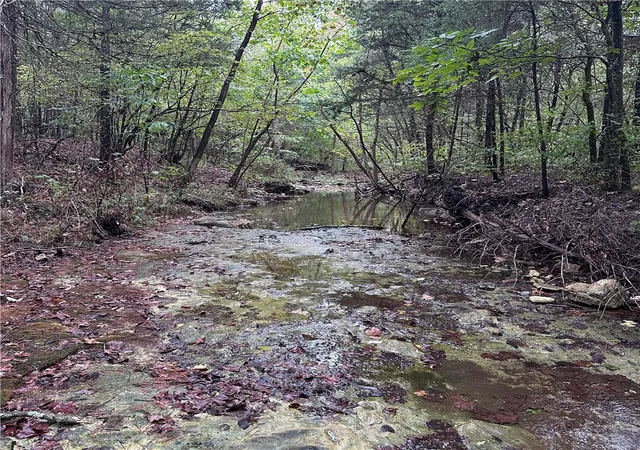 Photo 1 of Land for sale at 8080 Acres Hwy 221 S, Berryville, AR 72616 | MLS# 1364173 | Listing updated on 2026-10-05