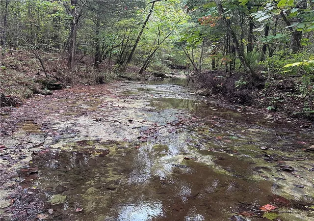 Photo 2 of Land for sale at 8080 Acres Hwy 221 S, Berryville, AR 72616 | MLS# 1364173 | Listing updated on 2026-10-05
