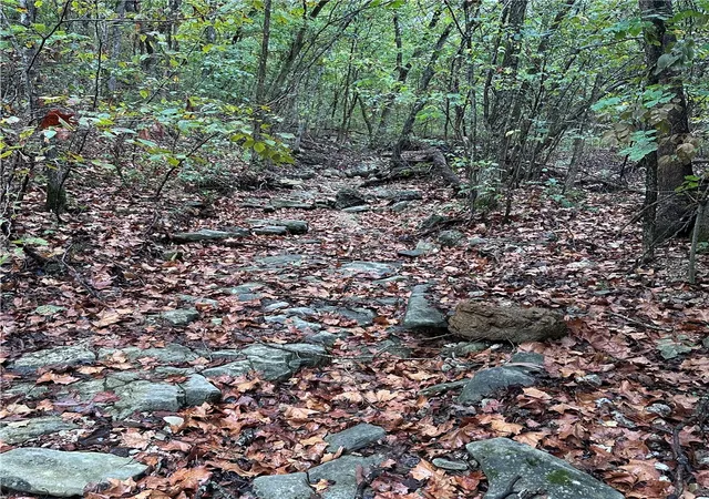 Photo 3 of Land for sale at 8080 Acres Hwy 221 S, Berryville, AR 72616 | MLS# 1364173 | Listing updated on 2026-10-05