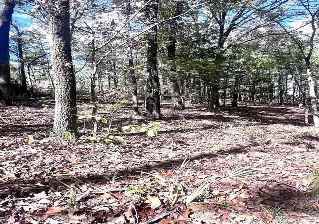 Photo 26 of Single family home for sale at 5555 Highway 282, Rudy, AR 72952 | MLS# 1364238 | Listing updated on 2026-10-06
