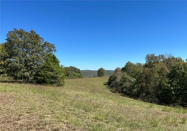Photo 2 of Land for sale at 00 Nc 4216, Western Grove, AR 72685 | MLS# 1364177 | Listing updated on 2026-10-06