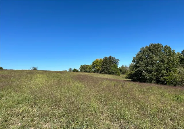 Photo 3 of Land for sale at 00 Nc 4216, Western Grove, AR 72685 | MLS# 1364177 | Listing updated on 2026-10-06