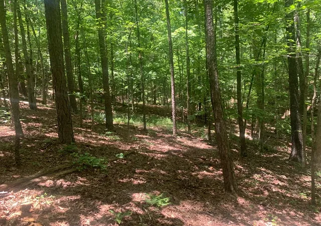 Land for sale at 001-03594-000 Mc 6047, Yellville, AR 72687 | MLS# 1364430