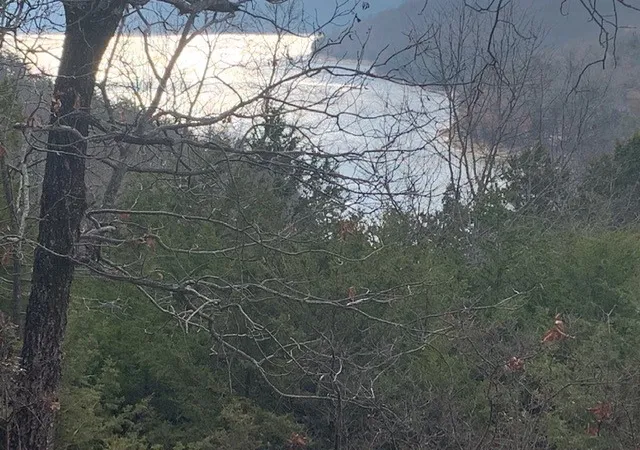 Photo 1 of Land for sale at 3287 Acres Slate Gap Rd, Garfield, AR 72732 | MLS# 1196817 | Listing updated on 2026-09-17