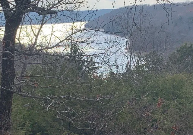 Photo 3 of Land for sale at 3287 Acres Slate Gap Rd, Garfield, AR 72732 | MLS# 1196817 | Listing updated on 2026-09-17