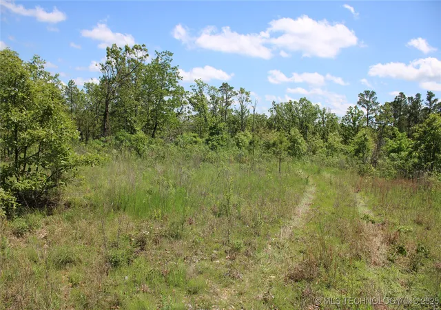 Homes for sale in Jay, OK | 0000 E 480 Rd, Jay, OK 74346 | MLS# 2518520