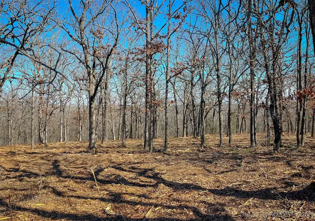 Photo 1 of Land for sale at 0 County Rd 3630, Ada, OK 74820 | MLS# 2533628 | Listing updated on 2026-08-20