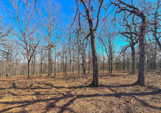 Photo 2 of Land for sale at 0 County Rd 3630, Ada, OK 74820 | MLS# 2533628 | Listing updated on 2026-08-20