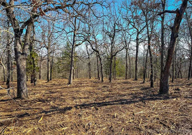 Photo 3 of Land for sale at 0 County Rd 3630, Ada, OK 74820 | MLS# 2533628 | Listing updated on 2026-08-20