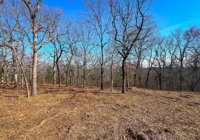 Photo 3 of Land for sale at 0 County Rd 3630, Ada, OK 74820 | MLS# 2533628 | Listing updated on 2026-08-20