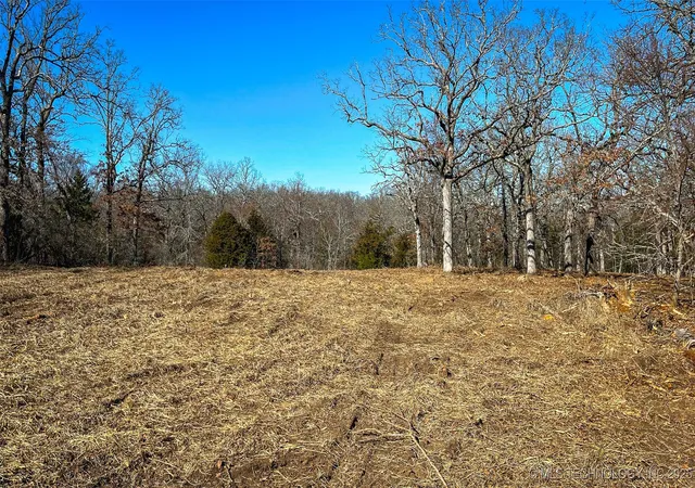 Photo 4 of Land for sale at 0 County Rd 3630, Ada, OK 74820 | MLS# 2533628 | Listing updated on 2026-08-20