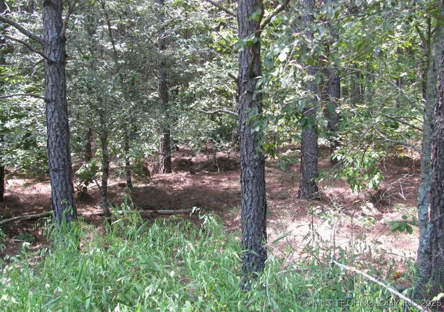 1st image of 22 Private Rd, Nashoba, OK 74558 | MLS# 2536854