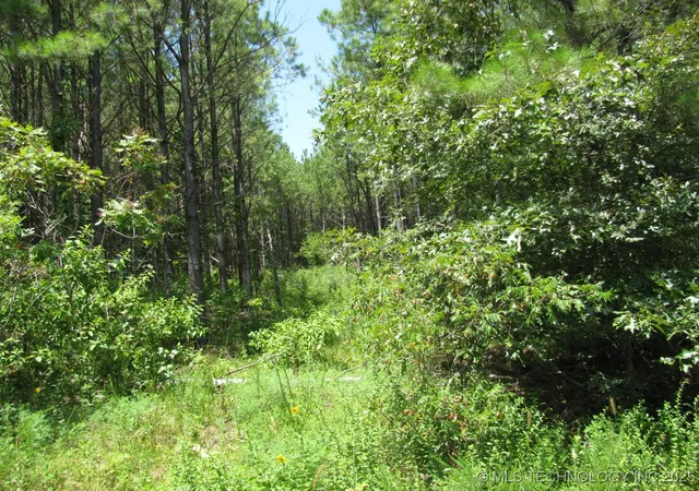 3rd image of 22 Private Rd, Nashoba, OK 74558 | MLS# 2536854