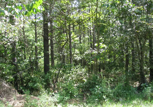 4th image of 22 Private Rd, Nashoba, OK 74558 | MLS# 2536854