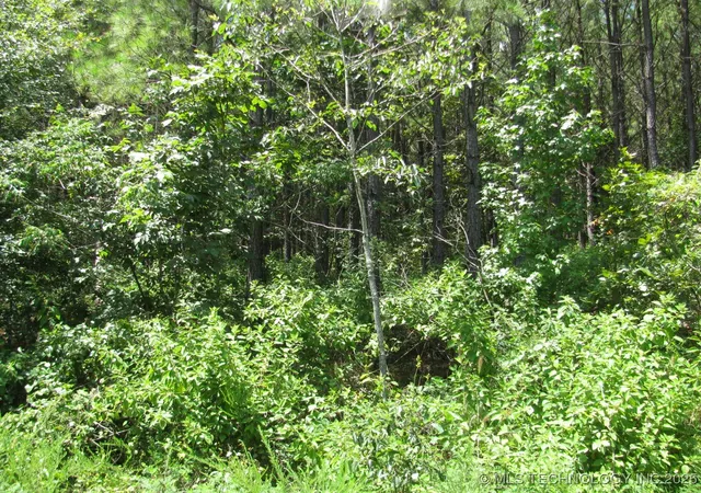 5th image of 22 Private Rd, Nashoba, OK 74558 | MLS# 2536854