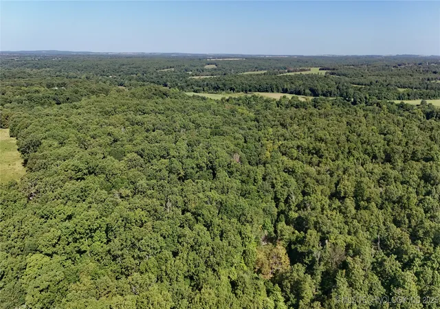 Homes for sale in Oaks, OK | 0000 S Hwy 82 A, Oaks, OK 74359 | MLS# 2537623