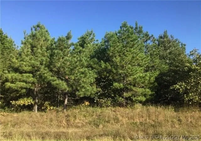 Homes for sale in Wright City, OK | 000 Merry Hwy, Wright City, OK 74766 | MLS# 2538320