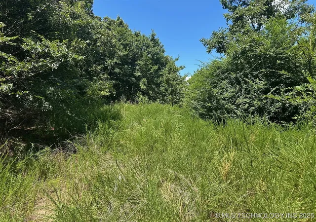 Homes for sale in Roland, OK | 0000 Cottonwood Rd, Roland, OK 74954 | MLS# 2540853