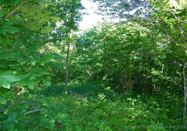 Photo 2 of Land for sale at NE 155th Street, Red Oak, OK 74563 | MLS# 2542257 | Listing updated on 2025-10-06