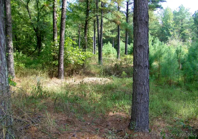 Photo 3 of Land for sale at NE 155th Street, Red Oak, OK 74563 | MLS# 2542257 | Listing updated on 2025-10-06