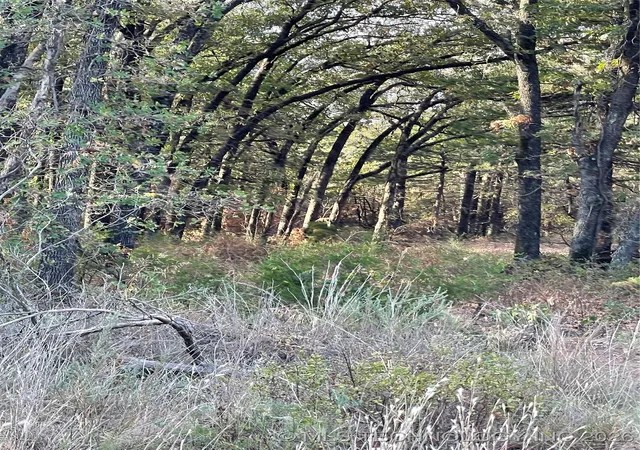 Photo 3 of Land for sale at 2611 S Mckenzie, Agra, OK 74824 | MLS# 2542313 | Listing updated on 2026-06-22
