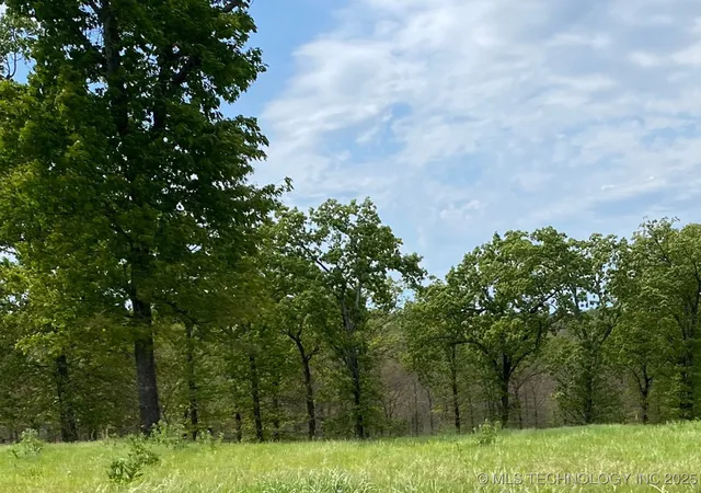 4th image of 790 Ridgeview Dr, Tahlequah, OK 74464 | MLS# 2543701