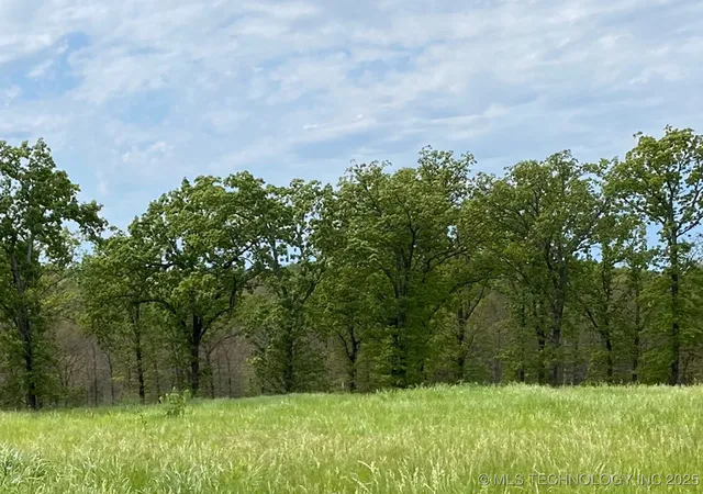 5th image of 790 Ridgeview Dr, Tahlequah, OK 74464 | MLS# 2543701