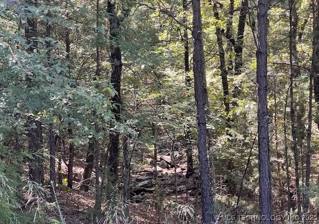 Photo 2 of Land for sale at 200720 E Cooper Bnd Rd, Kinta, OK 74552 | MLS# 2543861 | Listing updated on 2026-08-20