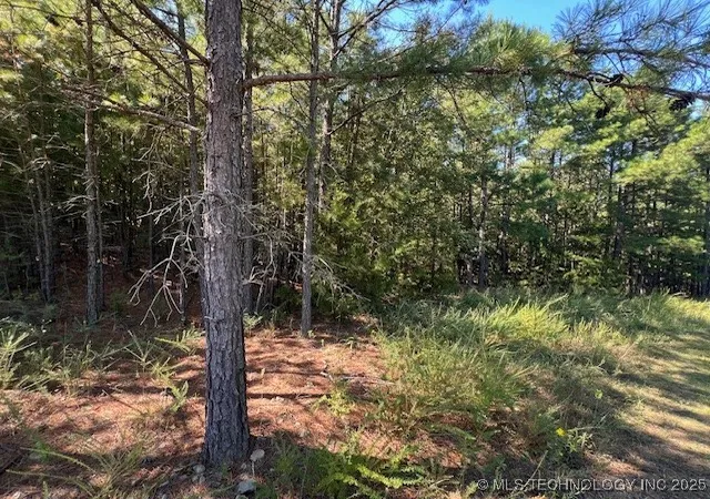 Photo 3 of Land for sale at 200720 E Cooper Bnd Rd, Kinta, OK 74552 | MLS# 2543861 | Listing updated on 2026-08-20