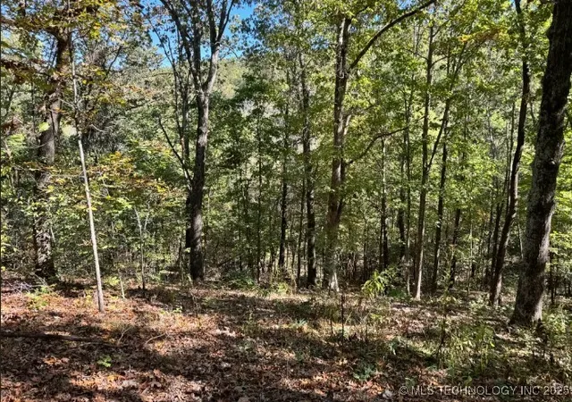 Photo 2 of Land for sale at 6200 N Starr Ridge Rd, Proctor, OK 74457 | MLS# 2544298 | Listing updated on 2026-08-20