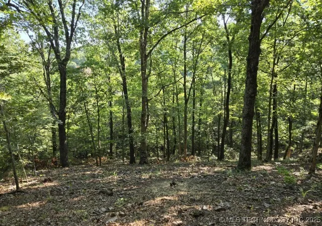 Photo 3 of Land for sale at 6200 N Starr Ridge Rd, Proctor, OK 74457 | MLS# 2544298 | Listing updated on 2026-08-20